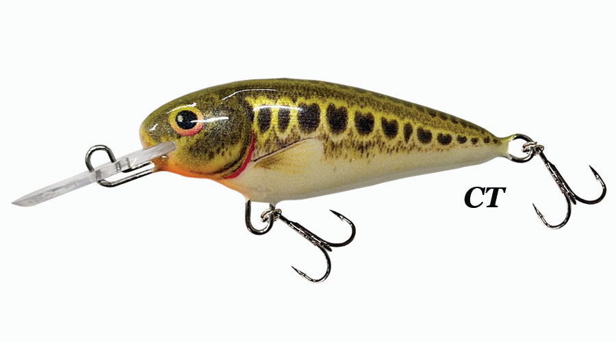 Invader 4.0 - 6.0 cm