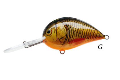 Alaska Faty 6.0 - 8.0 cm