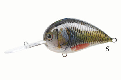 Alaska Faty 6.0 - 8.0 cm