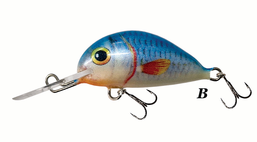 Alaska Catch Dorado Alaska Catch Dorado