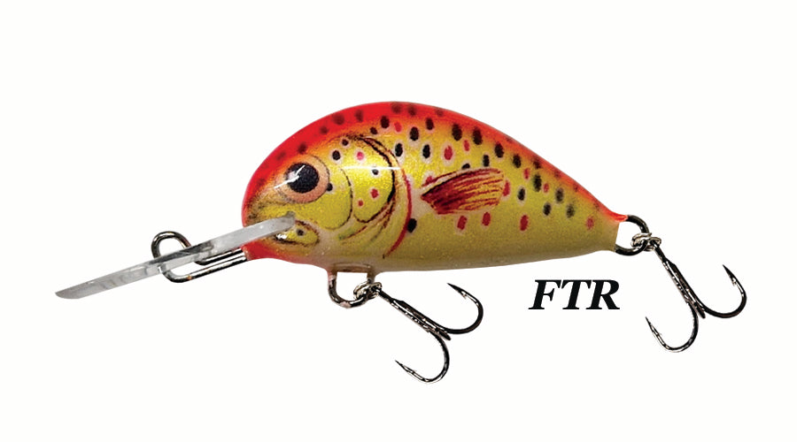 Alaska Catch Dorado Alaska Catch Dorado