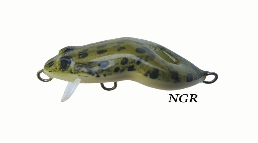 Frog