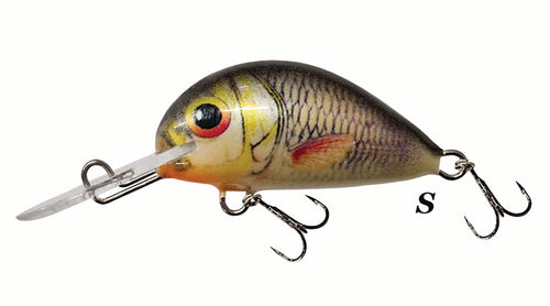 Alaska 6 fatty